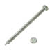GALVANIZED COMMON NAIL
